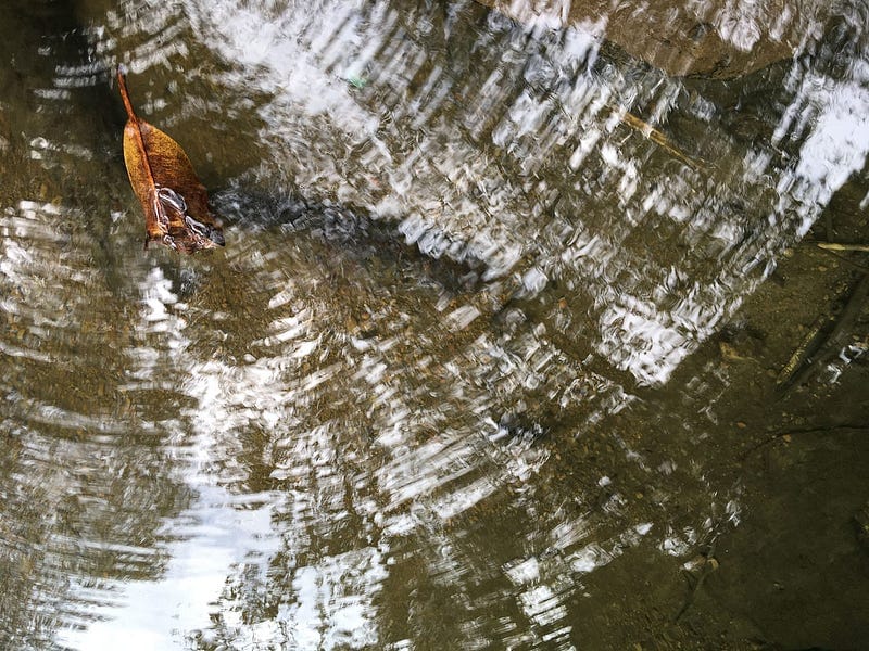 Does Depression Take Away Awareness Too?