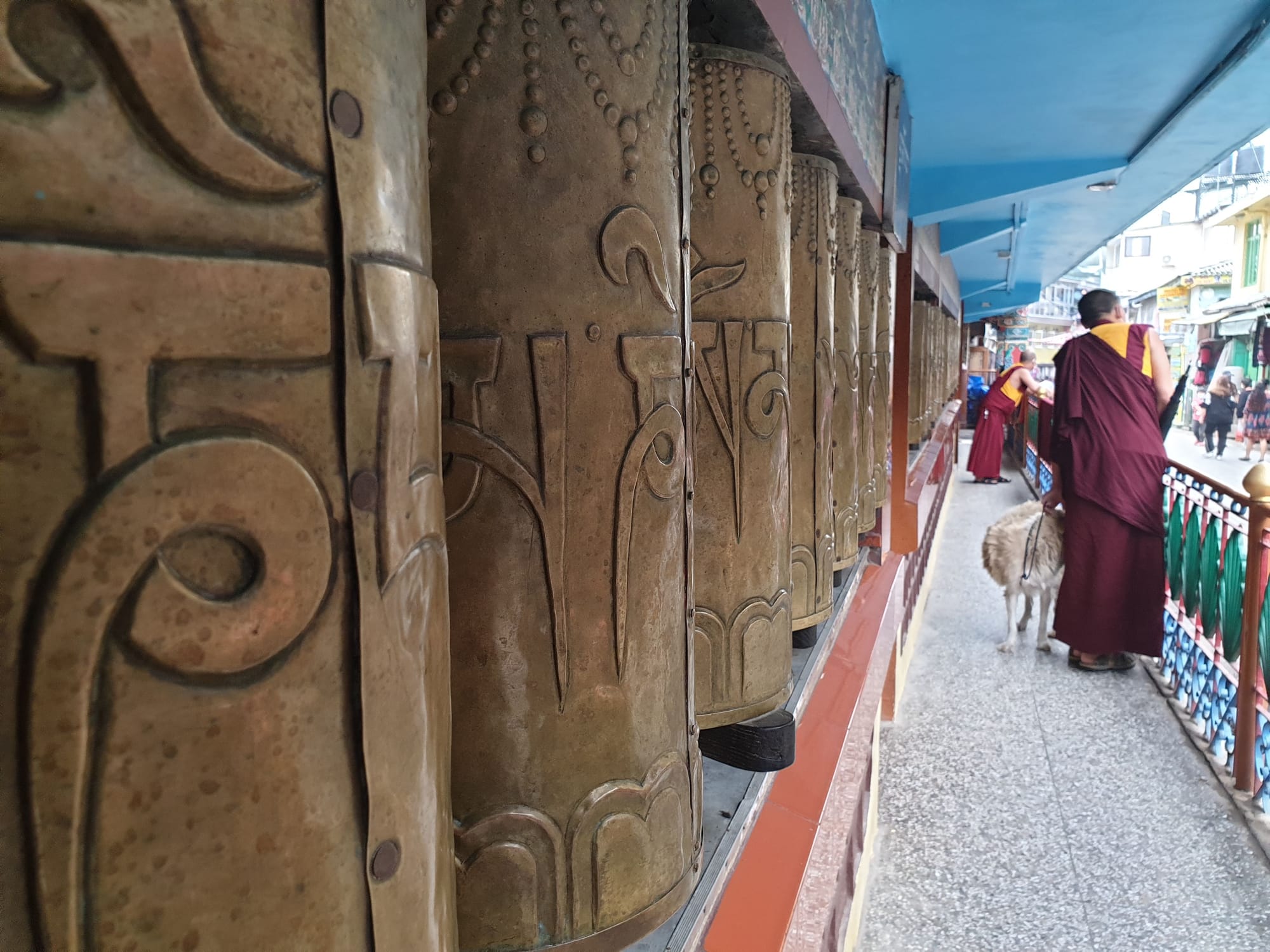 Eleven Questions That Buddha Didn't Answer