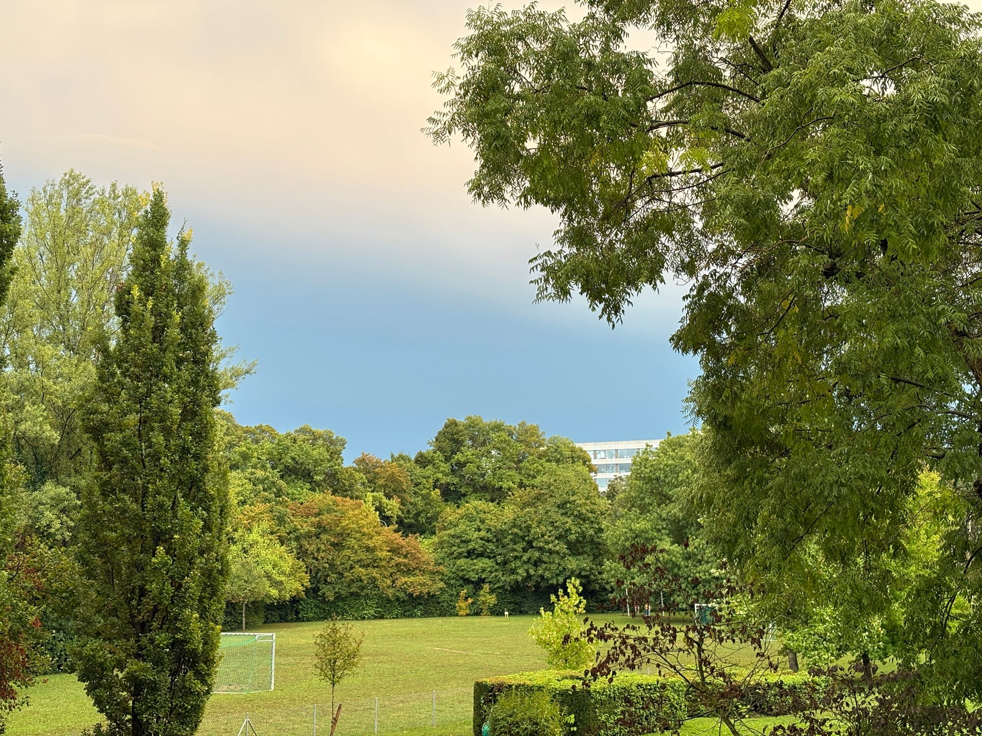 cloudy sky with trees in the foreground
