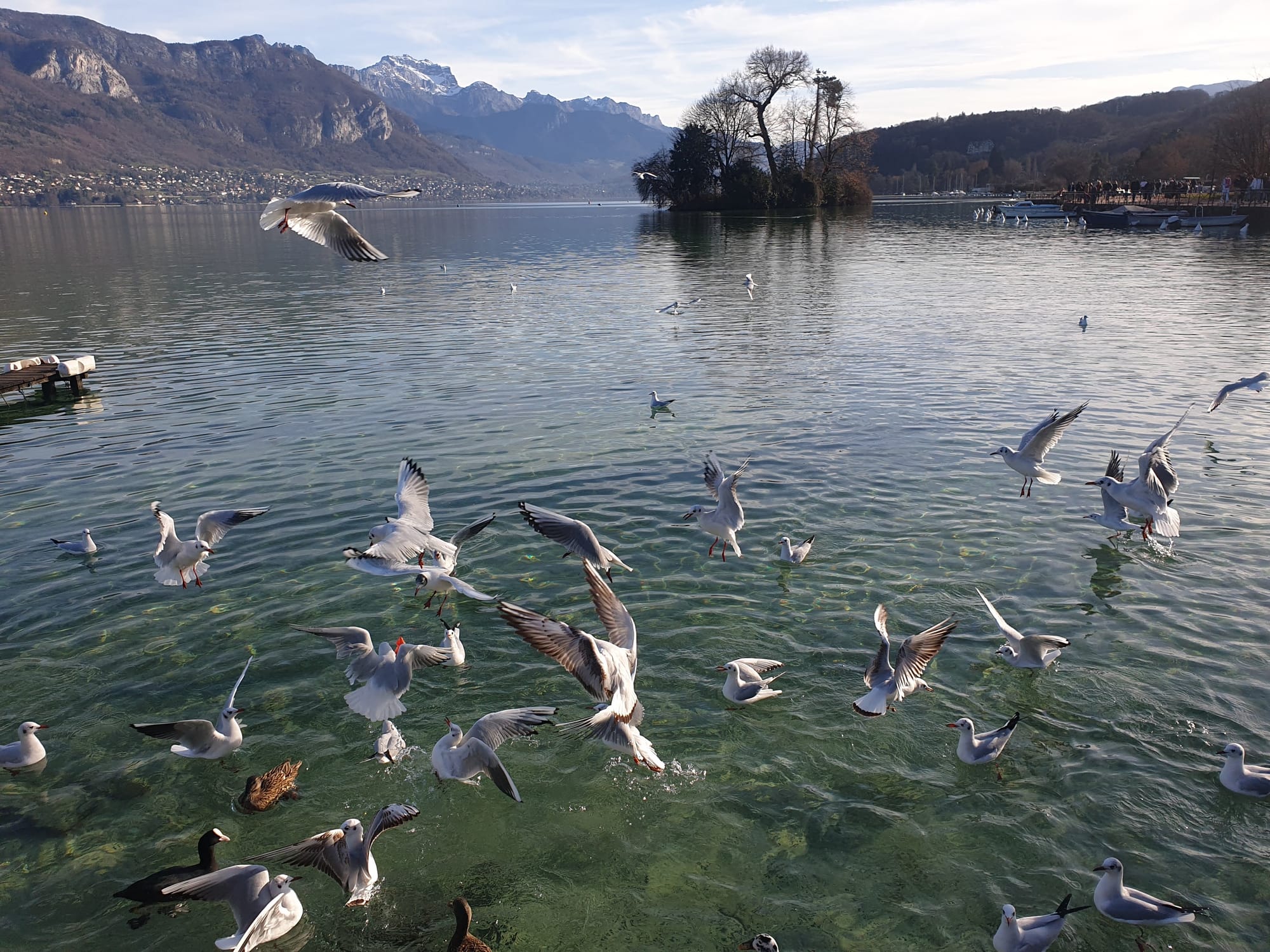 The Book That Moved me to Tears