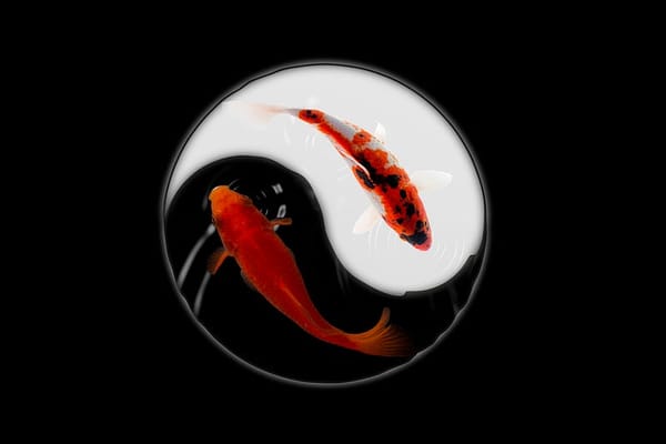 Polar Opposites Co-Exist